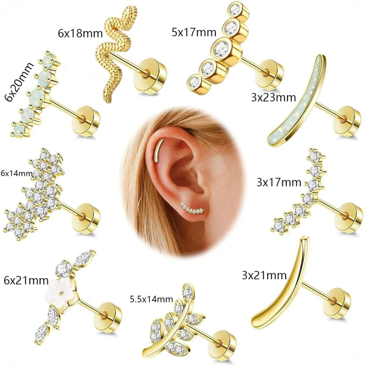 Marais – Collection de Puces d’Oreilles Élégantes