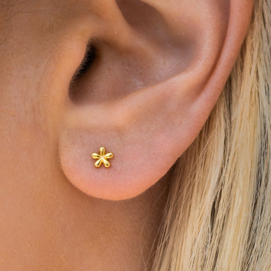 Lily – Petites Boucles d'Oreilles en Or