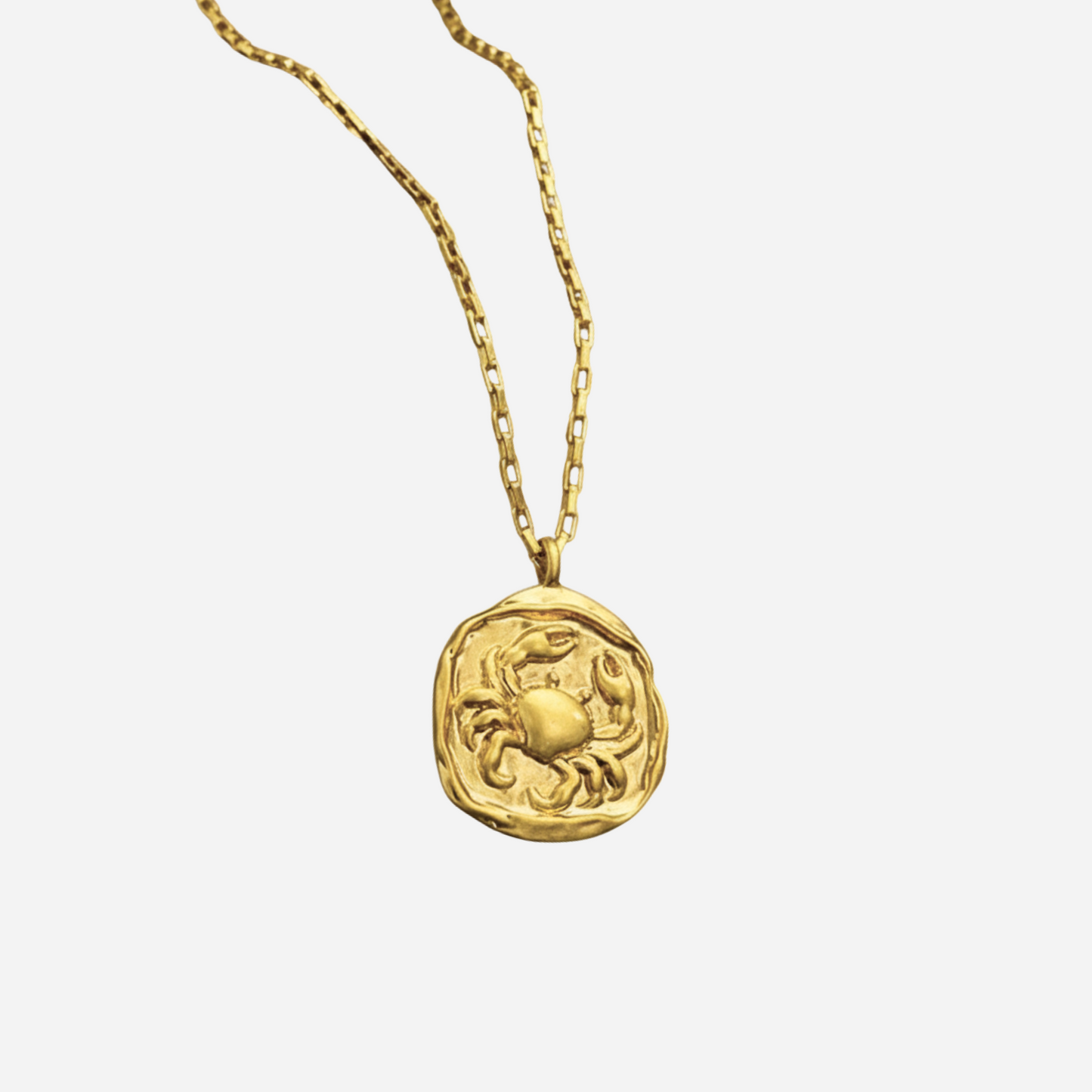 Zeki – Collier Médaillon Zodiaque Doré